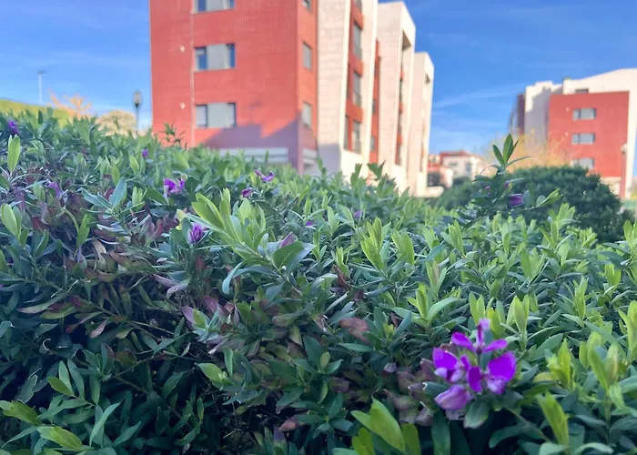Apartamento Olmeca